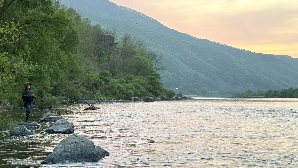 해질녘 금강에서 쏘가리 낚시